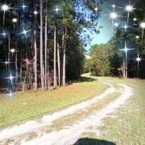 Meet your Posher, Nora